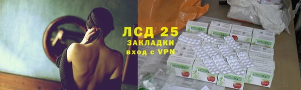 дживик Верея