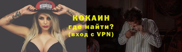 дживик Верея