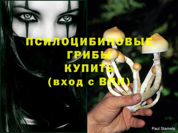 синтетический гашиш Верхний Тагил