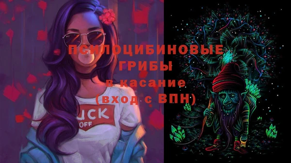 дживик Верея